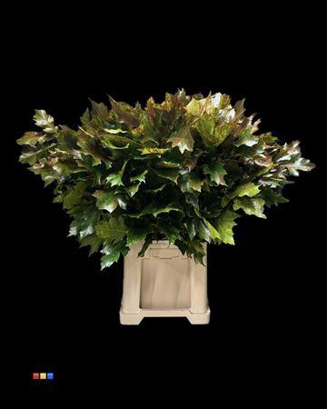 <h4>Eikeblad Transparant Autumn 60cm</h4>