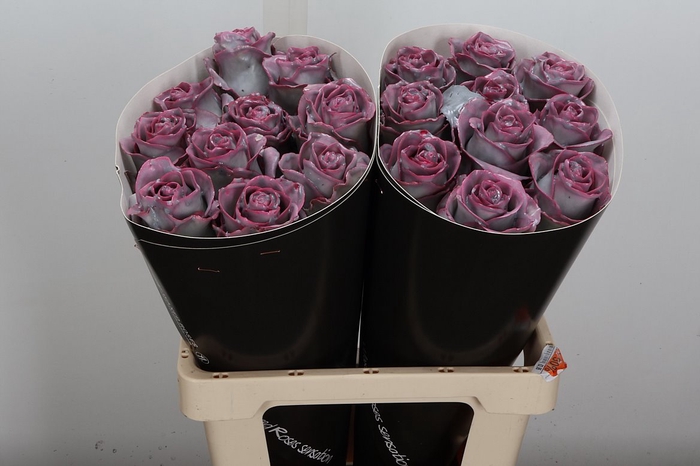 Wax-Rozen Wax Wit Zilver glitter