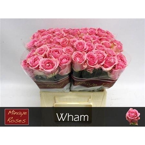 R Gr Wham