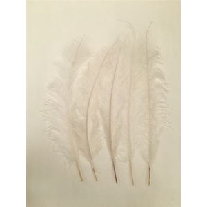 Basic Ostrich Feathers 5pcs Bleached