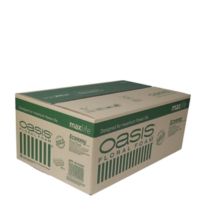 Oasis Blok Economy 20*10*8cm x20