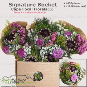 PROTEA PER BOS