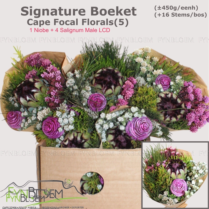 <h4>PROTEA PER BOS</h4>