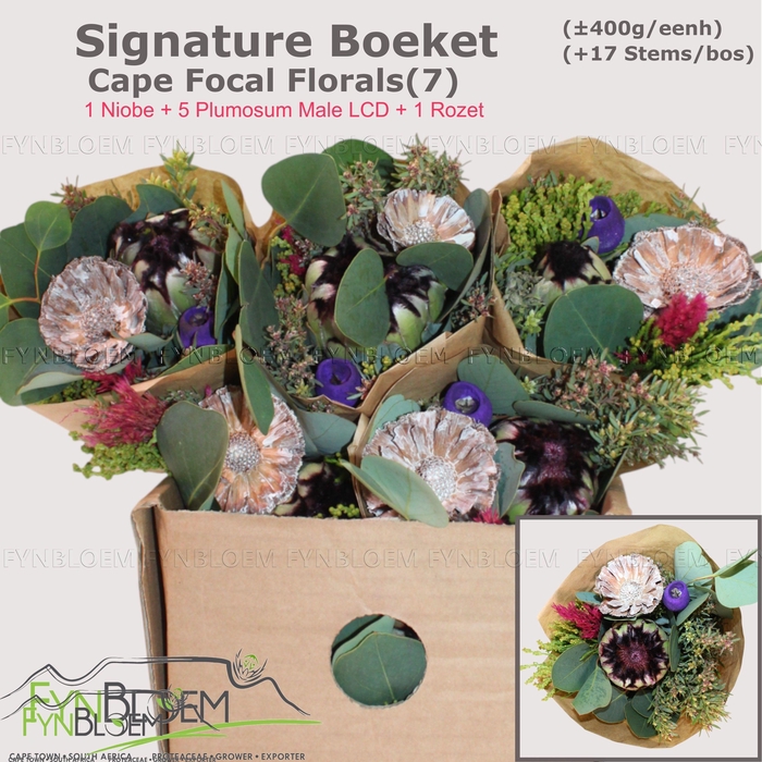 <h4>PROTEA PER BOS</h4>