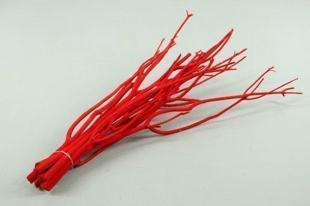 <h4>Mitsumata flock red bs(10)</h4>