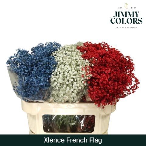 <h4>Gyps Xlence L80 French Flag</h4>