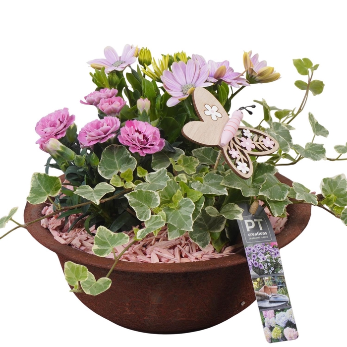 <h4>PTPP6842 Arrangement Patio in metalen schaal</h4>
