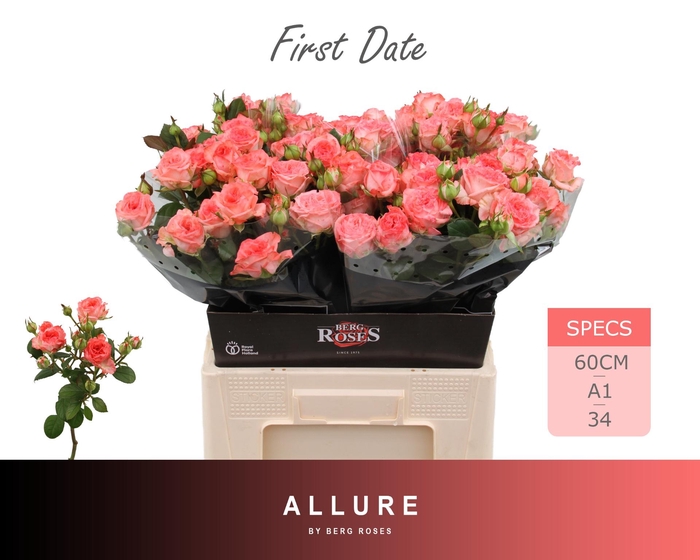 <h4>R TR FIRST DATE</h4>