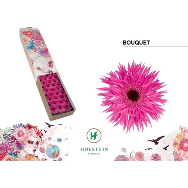 <h4>Ge Mi Spider Bouquet Box Holstein</h4>