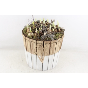 arr4 Narcis MB - Hout ton brown/white XL