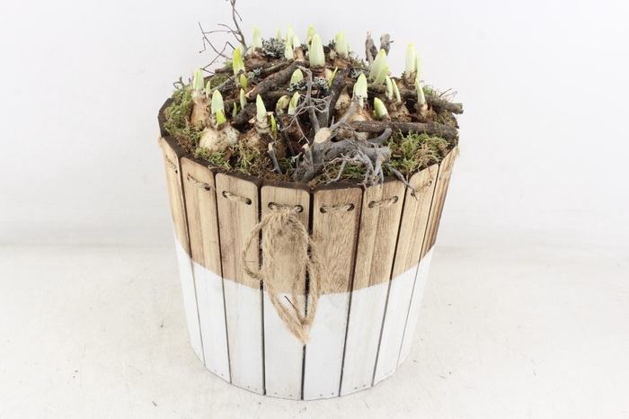 <h4>arr4 Narcis MB - Hout ton brown/white XL</h4>