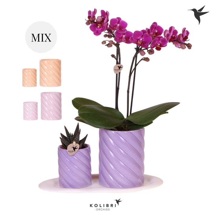 <h4>Kolibri Gift Set small Optimism high mix</h4>