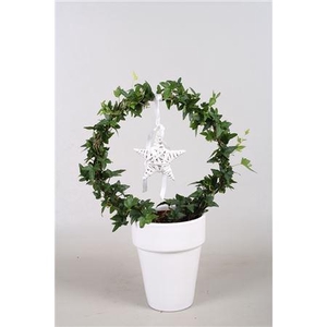 Hedera Boog+ster In Keramiek