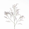 AF Limonium L82cm Purple
