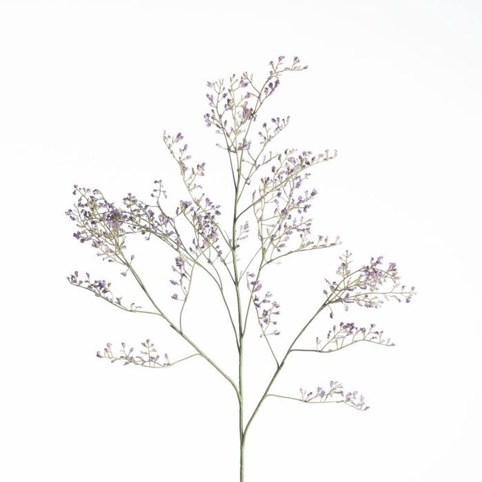 AF Limonium L82cm Purple