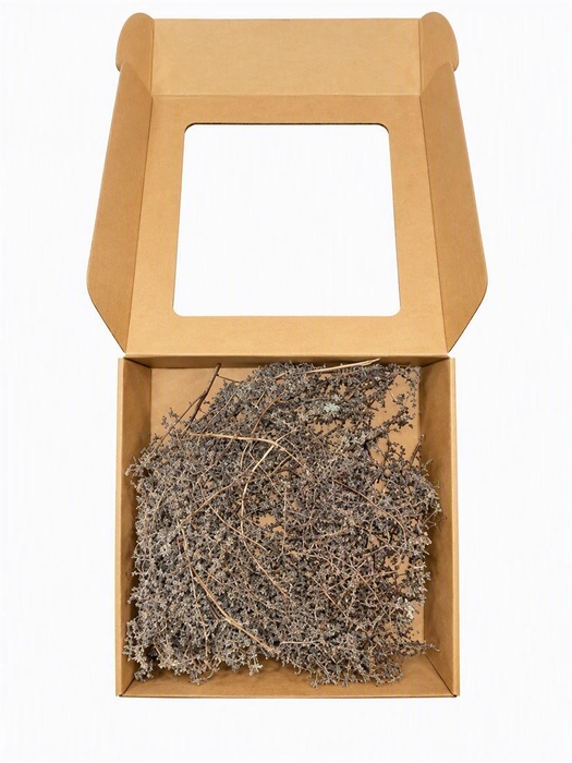 <h4>Wax Asparagus Chocolat P Box</h4>