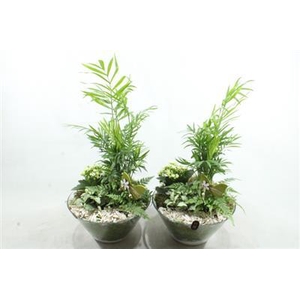 2677 Xl Wit Glas Cham