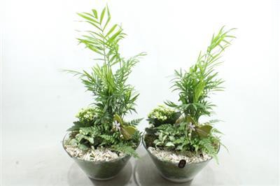 <h4>2677 Xl Wit Glas Cham</h4>