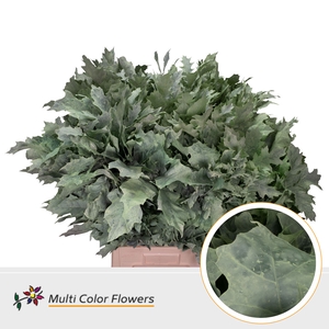 Eik Grof Frost Mint