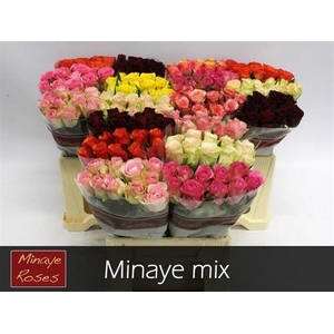 R Gr Mix In Bunch Minaye