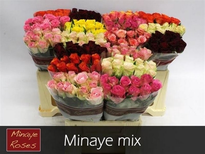 R Gr Mix In Bunch Minaye