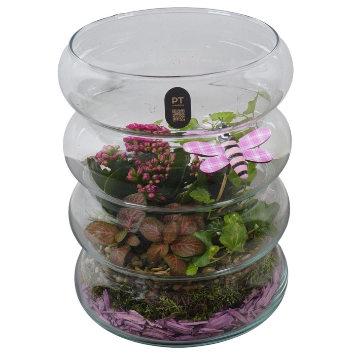 <h4>2673 ROZE RIBBELGLAS</h4>