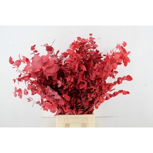 PF EUC STUART RED BS 150GR