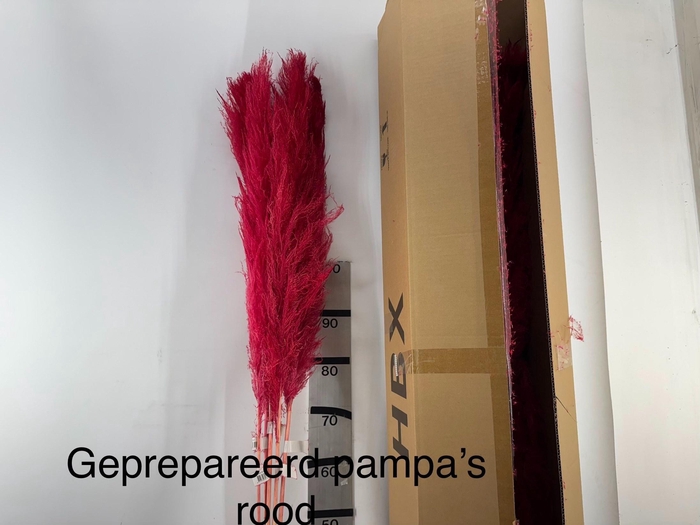 <h4>HUIS EN TUINDECO H%</h4>