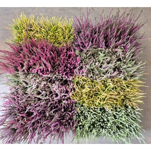 CALLU MIXK 5 KL