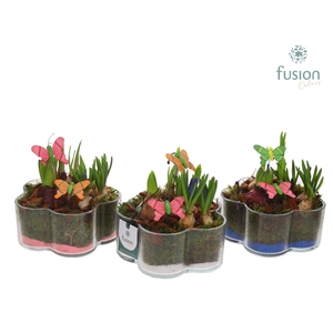 Glazen Bloemschaalmet Mixbol arrangement