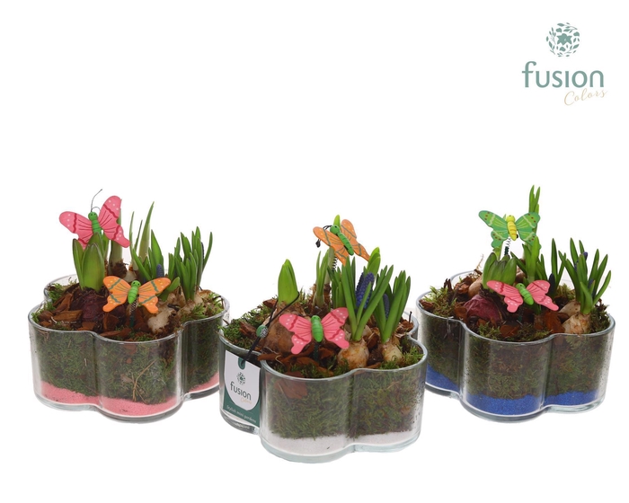 <h4>Glazen Bloemschaalmet Mixbol arrangement</h4>