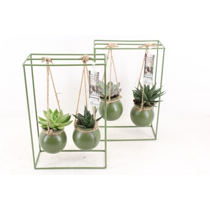 arr2 MB - IJzer rek 2glas green