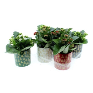 !! PROMO !! KALAN CALAN XMAS CERAMICS