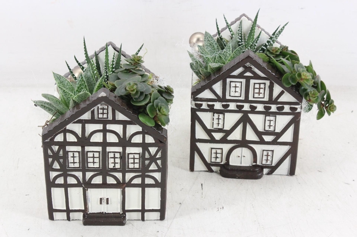 <h4>arr3 SN - Casa saxon groot</h4>