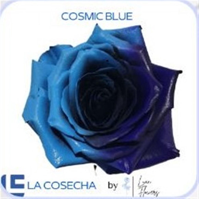 <h4>R GR TINTED COSMIC BLUE EQ</h4>