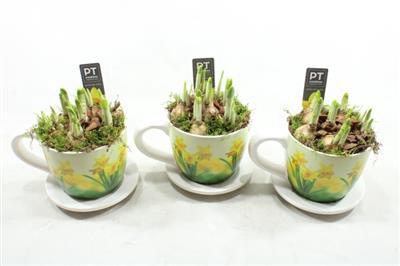 <h4>8727 Tete Xl Kop/schotel</h4>