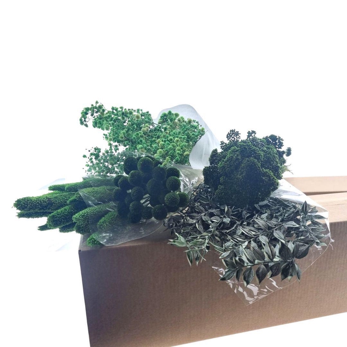 <h4>Droogbloem DIY box assorti 60-70cm</h4>