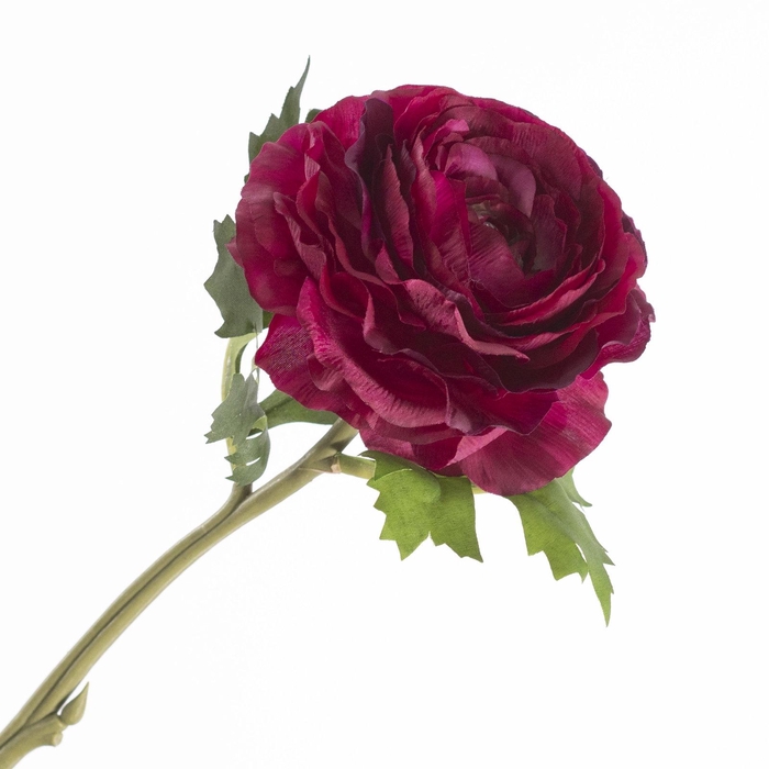 <h4>Ranunculus Burgundy FL440352BUR</h4>