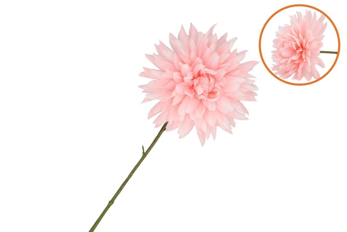 <h4>Silk Dahlia Pointy Light Pink 65cm Nm</h4>