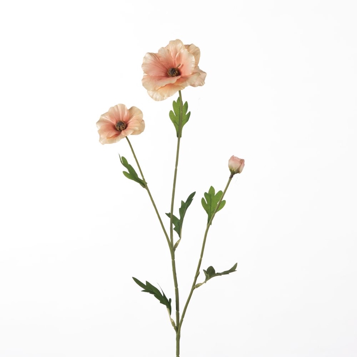 Af Ranunculus Bu L58cm Peach