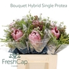 Bouquet Hybrid Single Protea