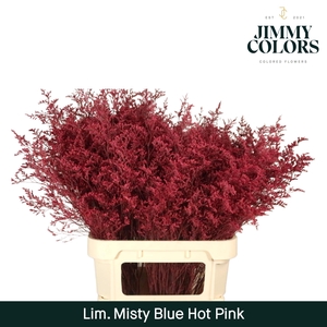 Lim Misty Blue L90 Hot Pink