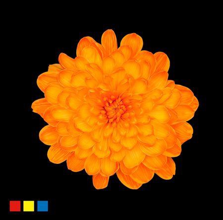 <h4>Chr T Altaj Orange</h4>