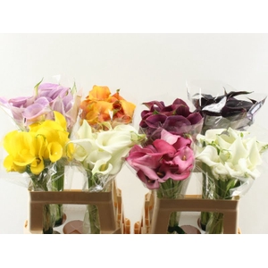 Calla Mix In Bucket Double