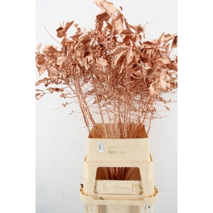 Ilex ve Copper 100cm leafs