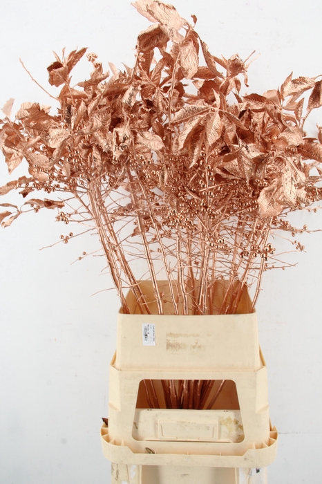 <h4>Ilex ve Copper 100cm leafs</h4>