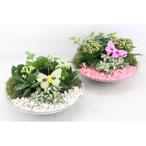 arr2 PL - Glas schaal 27cm - roze/wit