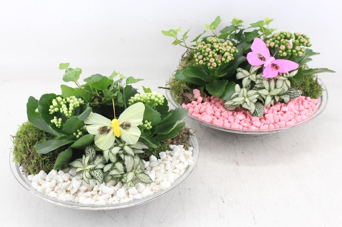 <h4>arr2 PL - Glas schaal 27cm - roze/wit</h4>