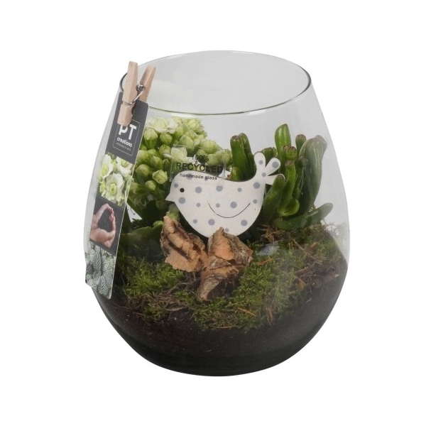 <h4>PTIG6846 Arrangement Indoor in glas vaas</h4>