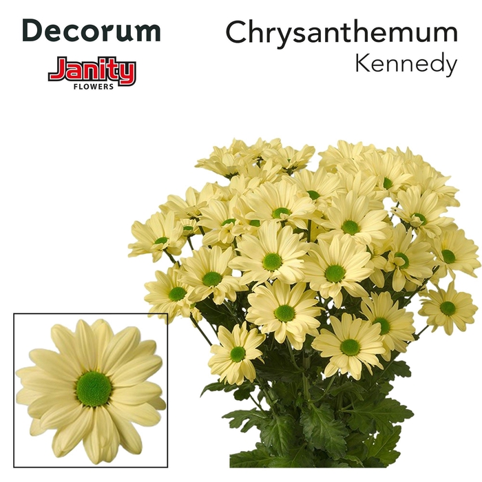 <h4>CHR T KENNEDY CREAM</h4>